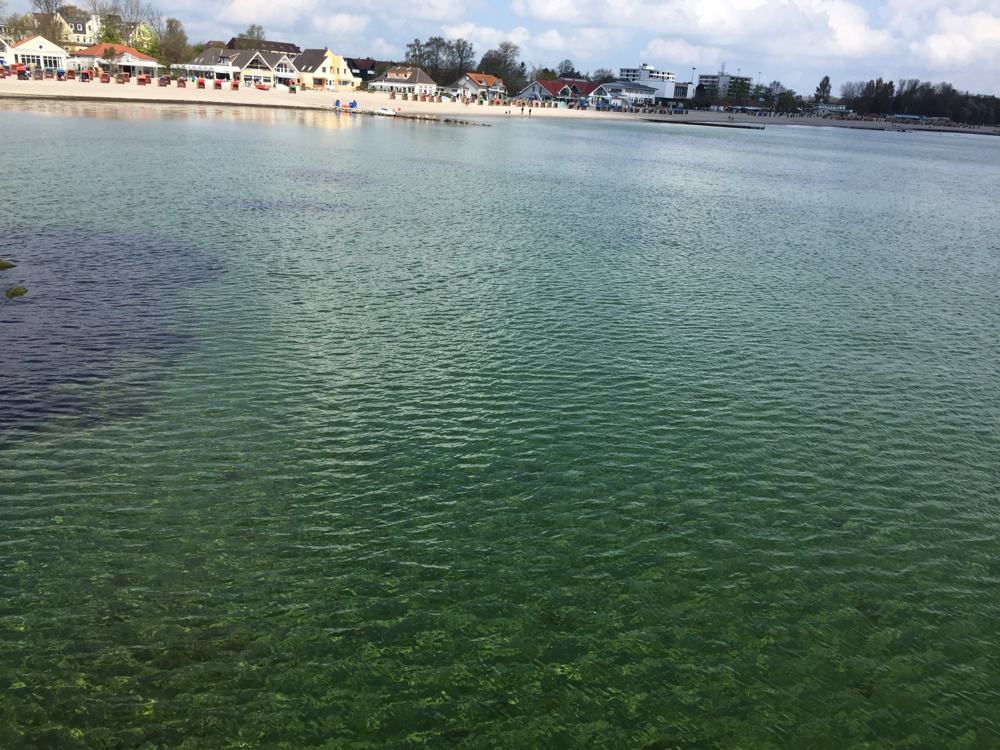 Ufer bei Kellenhusen